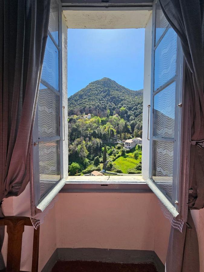 Palazzu Massoni, Magnifique Vue Sur La Mer Et La Montagne, Clim, Wifi, Parking Gratuit Cervione Ngoại thất bức ảnh