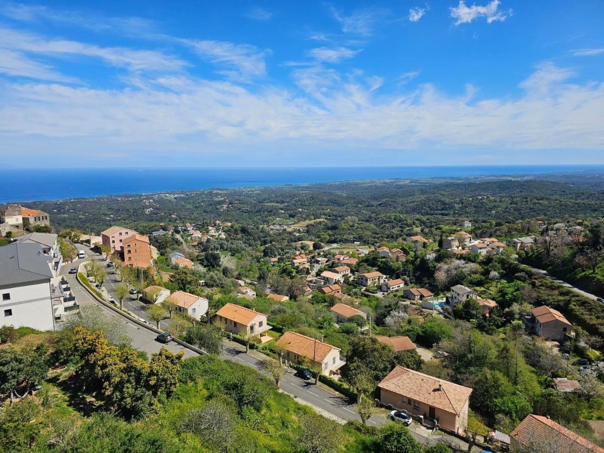 Palazzu Massoni, Magnifique Vue Sur La Mer Et La Montagne, Clim, Wifi, Parking Gratuit Cervione Ngoại thất bức ảnh