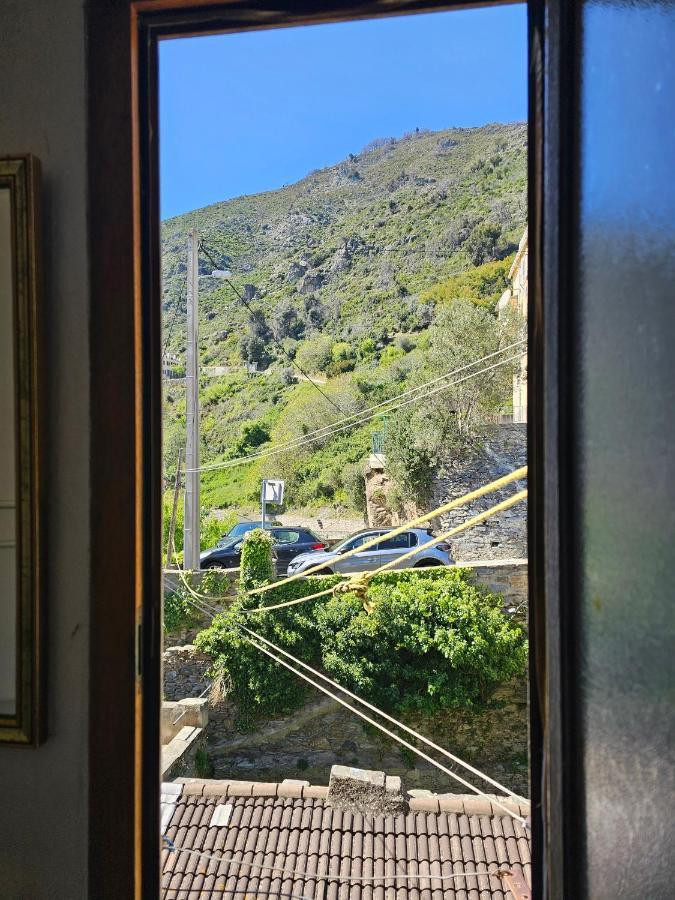 Palazzu Massoni, Magnifique Vue Sur La Mer Et La Montagne, Clim, Wifi, Parking Gratuit Cervione Ngoại thất bức ảnh